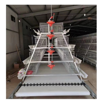 Hot Dip Galvanize Steel Automatic a Type Layer Poultry Farm Battery Chicken Cage for Chicken