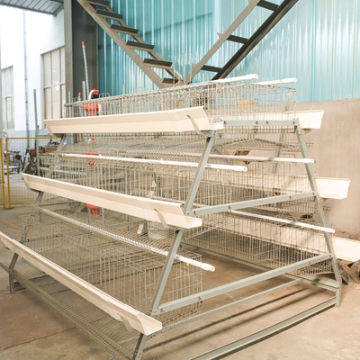 Hot Dip Galvanize Steel Automatic a Type Layer Poultry Farm Battery Chicken Cage for Chicken