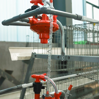 Hot Dip Galvanize Steel Automatic a Type Layer Poultry Farm Battery Chicken Cage for Chicken