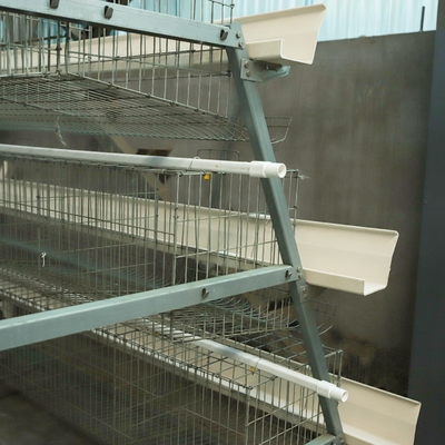 Hot Dip Galvanize Steel Automatic a Type Layer Poultry Farm Battery Chicken Cage for Chicken